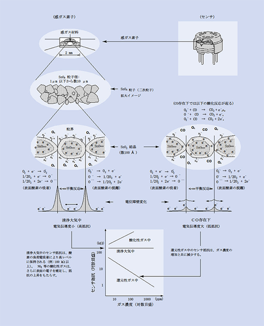 tch_fig01